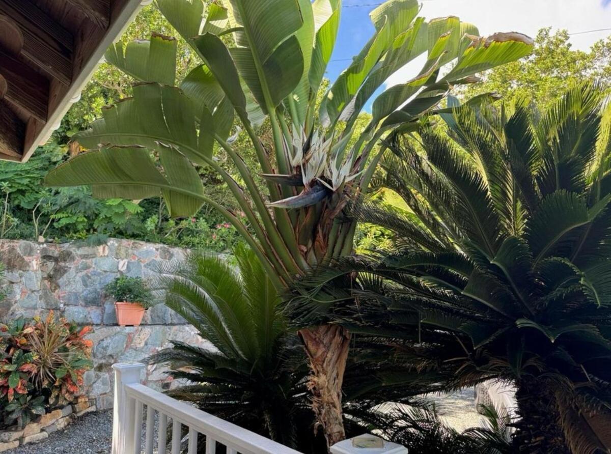 Blue Pearl Villa In St John Usvi Coral Bay Exterior photo