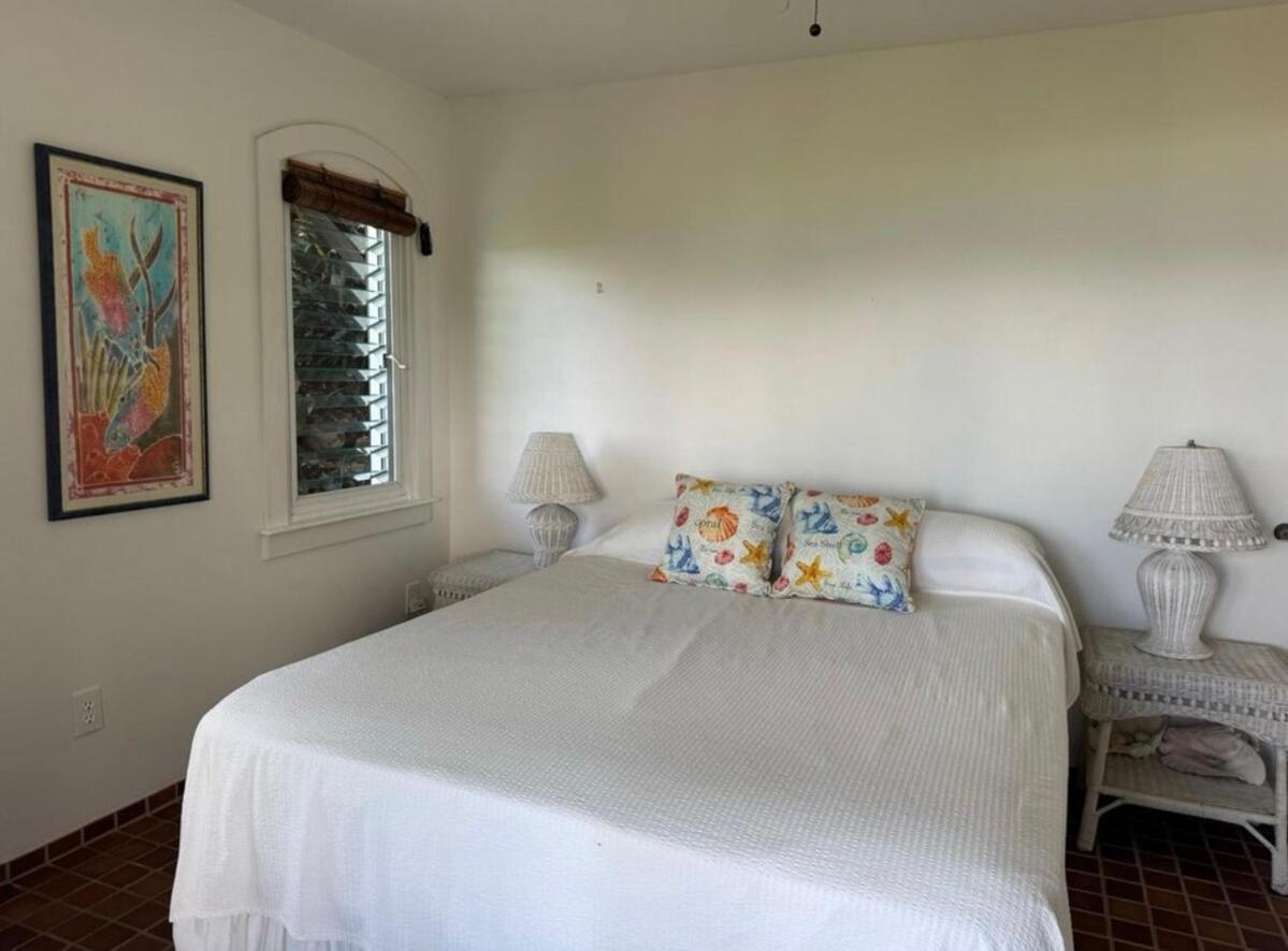 Blue Pearl Villa In St John Usvi Coral Bay Exterior photo